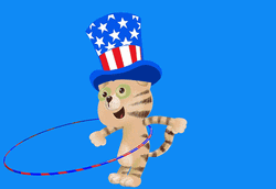 Happy 4Th Cat Hula Hoop Animation GIF