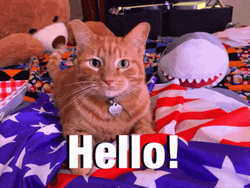 Happy 4Th Ginger Cat Hello GIF