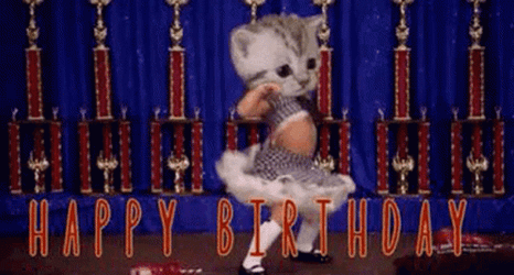 Happy 4Th Of July Birthday Kitty GIF