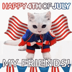 Happy 4Th Of July Cat Captain America GIF