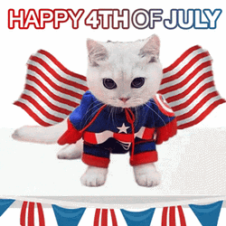 Happy 4Th Of July Cute American Cat Flag Cape GIF