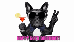 Happy 60Th Birthday Cool Dog Fun Art GIF