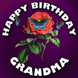 Happy 65Th Birthday Wishes With Rose And Butterflies GIF