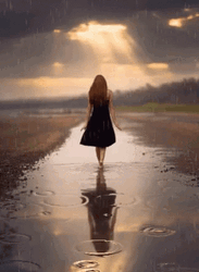 Happy After Rainy Sunday GIF