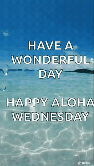 Happy Aloha Wednesday Ocean Background GIF