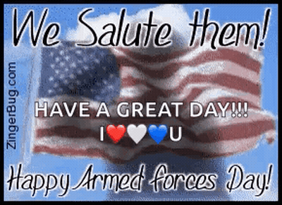 Happy Armed Forces Day Salute GIF