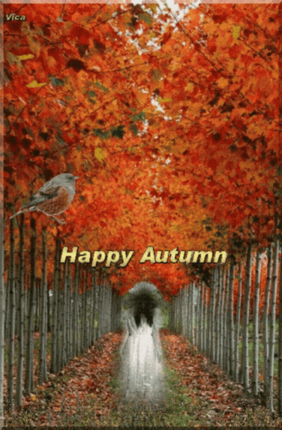 Happy Autumn Trees Painting GIF