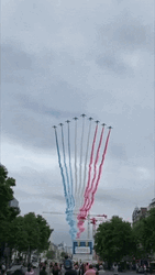 Happy Bastille Day French Air Force Flag Colors