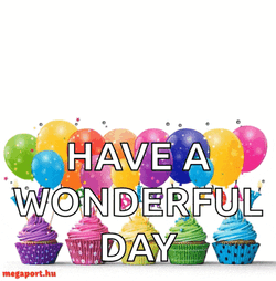 Happy Bday GIF