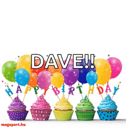 Happy Bday GIF