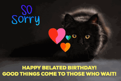 Happy Belated Birthday So Sorry Cat