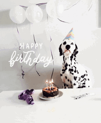 Happy Birthday Animal Dog Dalmatian Cake GIF