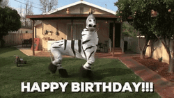 Happy Birthday Animal Zebra Funny Dance GIF