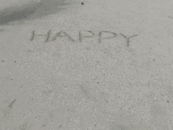 Happy Birthday Beach Xiao Zhan GIF