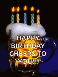Happy Birthday Beer Cheers To You GIF