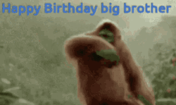 Happy Birthday Brother Funny Monkey Dancing GIF