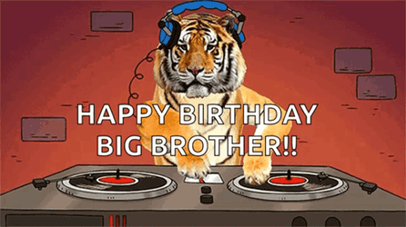 Happy Birthday Brother In Law Tiger As DJ GIF