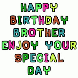 Happy Birthday Brother Special Day GIF