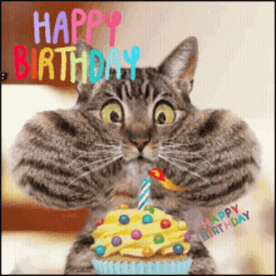 Happy Birthday Card With Balloons And Gifts Cheers To Another Trip Around The Sun GIF