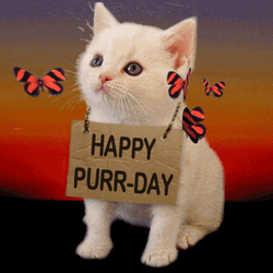 Happy Birthday Cat Purr Day Sign