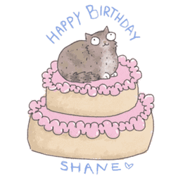 Happy Birthday Cat Shane Two Layered Cake