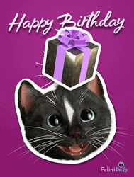 Happy Birthday Cat Surprise Gift