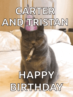 Happy Birthday Celebrate GIF