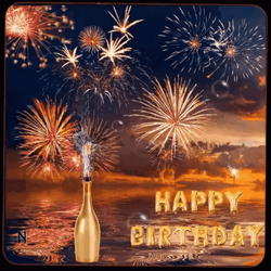 Happy Birthday Celebration Fireworks Meme GIF
