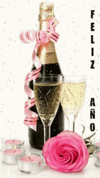 Happy Birthday Champagne Bottle Pink Ribbon GIF