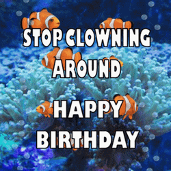 Happy Birthday Clown Fishing GIF