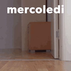 Happy Birthday Dachshund Checkered Mercoledi GIF