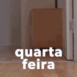 Happy Birthday Dachshund Checkered Quarta Feira GIF