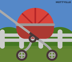 Happy Birthday Dachshund Dog In Stroller GIF