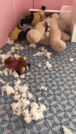 Happy Birthday Dachshund Dog Inside Stuffed Toy GIF