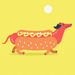 Happy Birthday Dachshund Red Dog In Bun GIF