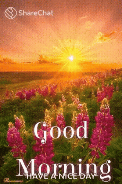 Happy Birthday Daniel Palm Trees Card GIF