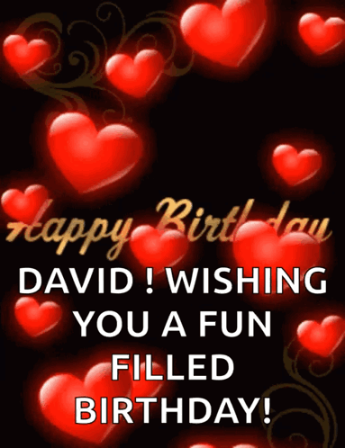 Happy Birthday David Wishing You A Fun Filled Birthday ! GIF