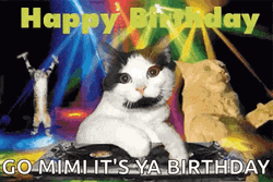 Happy Birthday Dj Party Cat GIF