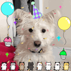 Happy Birthday Dog Dancing Cats Sticker GIF