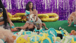 Happy Birthday Dog Girl Celebration GIF