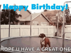 Happy Birthday Dog Have Great One GIF