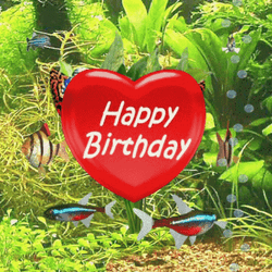 Happy Birthday Fishing Spinning Heart GIF