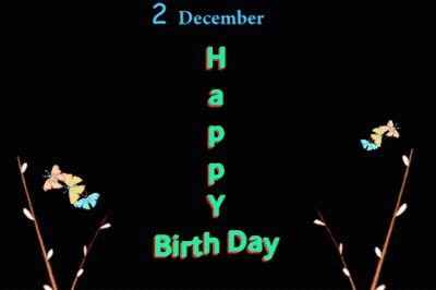 Happy Birthday Flowers And Butterflies GIF