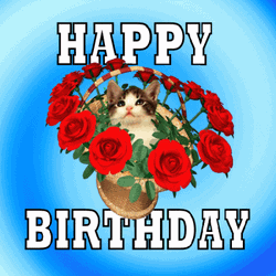 Happy Birthday Flowers Cat Basket