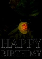 Happy Birthday Flowers Gumamela  GIF
