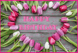 Happy Birthday Flowers Pink Tulips
