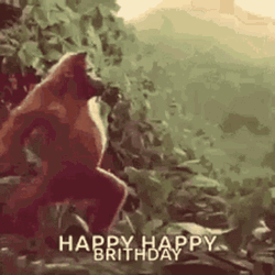 Happy Birthday Funny Dancing Gorilla GIF