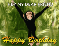 Happy Birthday Funny Swinging Monkey GIF