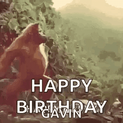 Happy Birthday Gorilla In Woods GIF