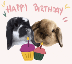 Happy Birthday Greeting Animal Bunnies Cupcake GIF